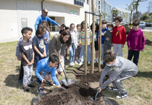O Concello planta árbores nas inmediacións do CEIP Torre de Hércules en colaboración co alumnado do centro educativo